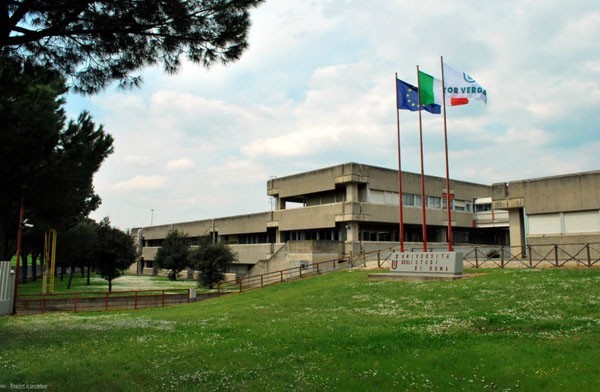 Immagine per Scienze MM.FF.NN.