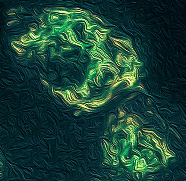 gallery Cellule tumorali:  un led blu per far luce sulla mitofagia, il processo di smaltimento rifiuti che le tiene in vita 