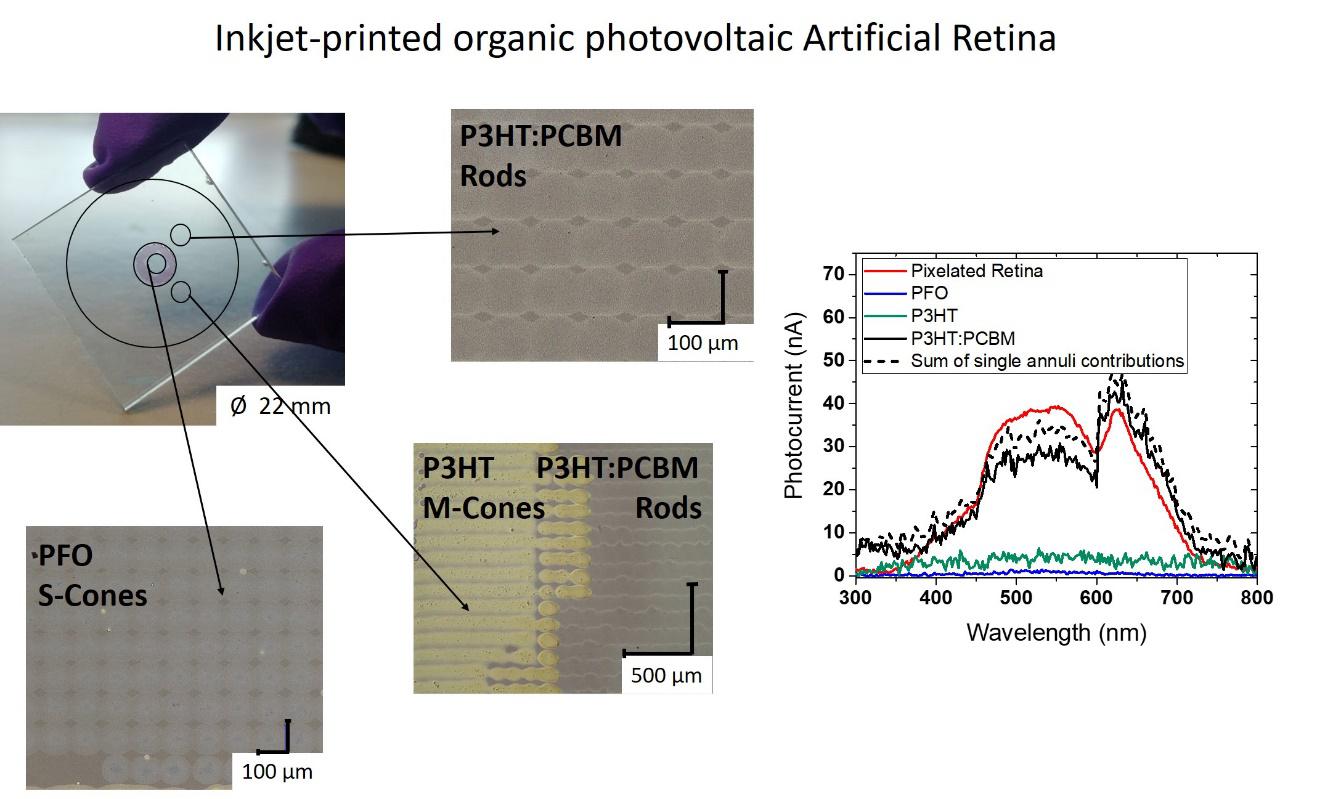 gallery Sviluppo di un modello di Retina Artificiale sensibile ai colori realizzata tramite stampa inkjet