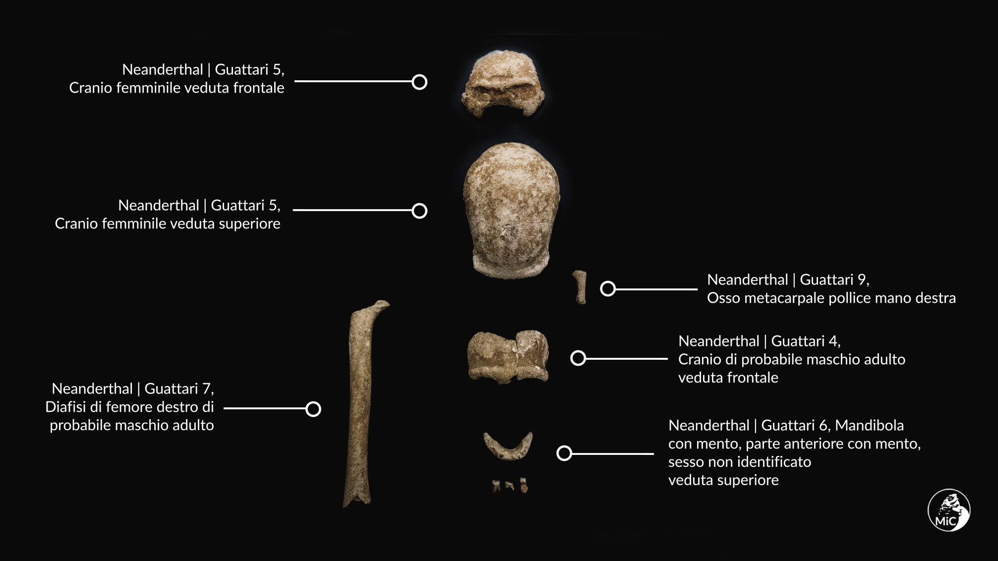 gallery Circeo, ritrovati i resti di nove uomini di Neanderthal nella Grotta Guattari