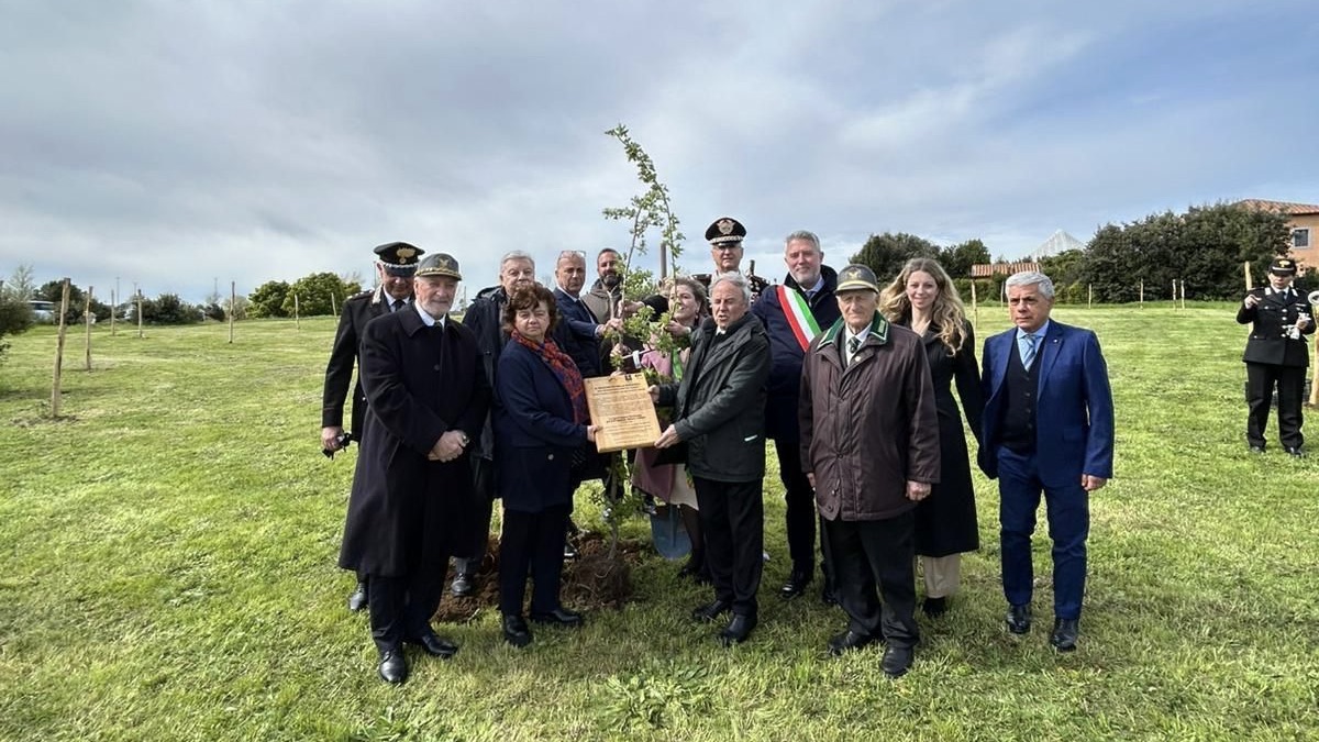 gallery Il Boschetto della Speranza: nuove specie arboree all'Orto botanico nel segno della sostenibilità
