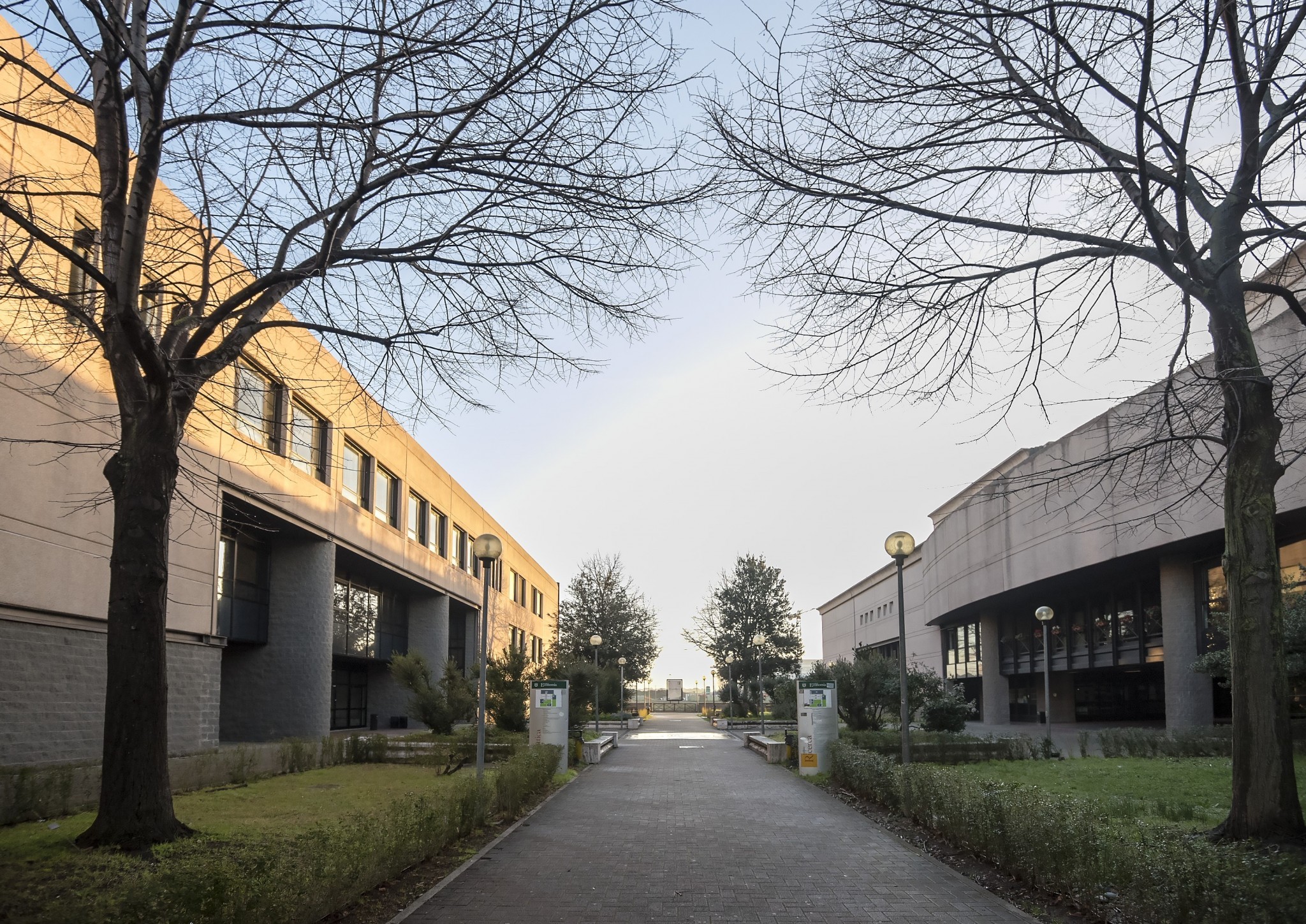 Immagine per Macroarea di Economia