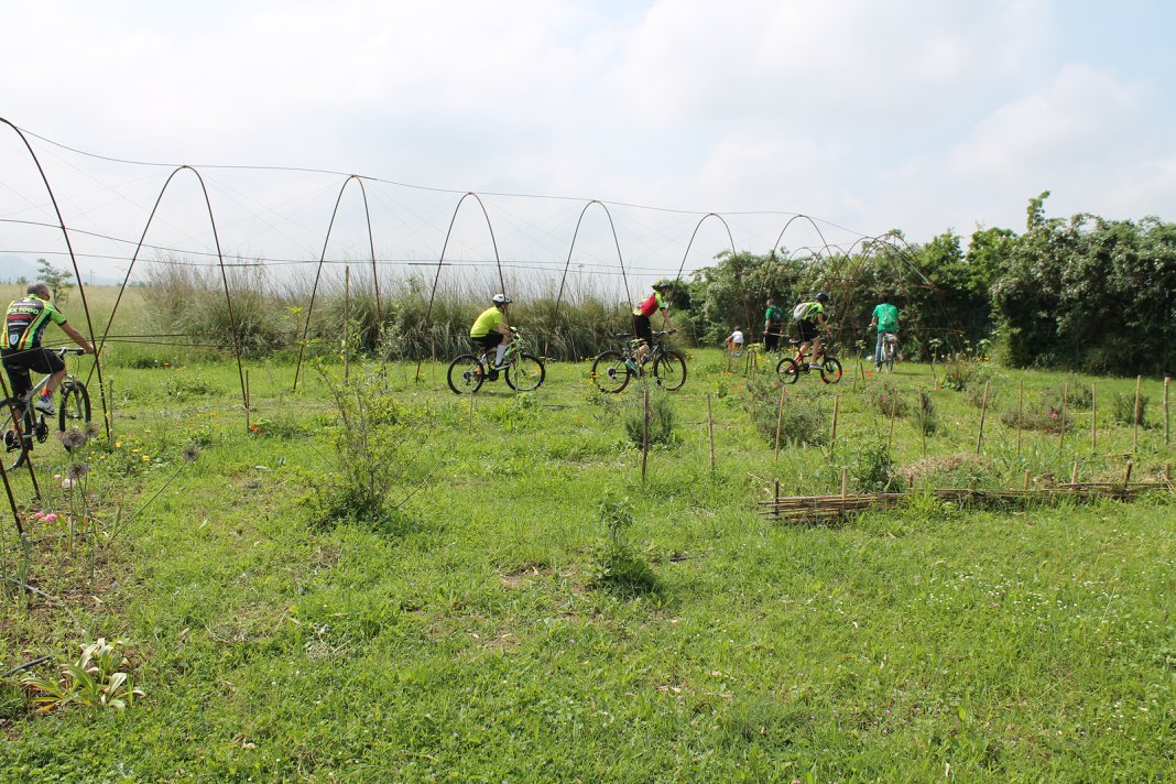 gallery Visita guidata all’Orto Botanico in mountain bike