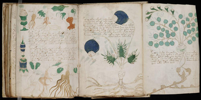 gallery  Voynich, il libro più misterioso al mondo, torna a Villa Mondragone