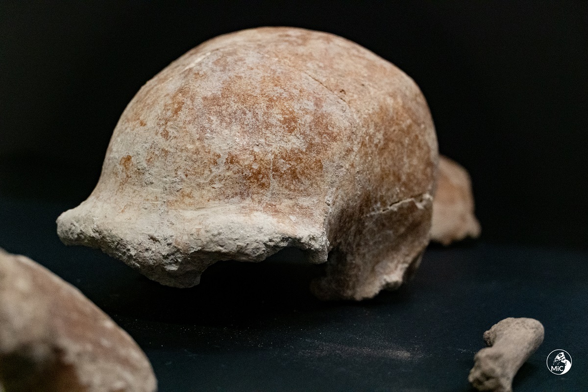gallery Circeo, ritrovati i resti di nove uomini di Neanderthal nella Grotta Guattari