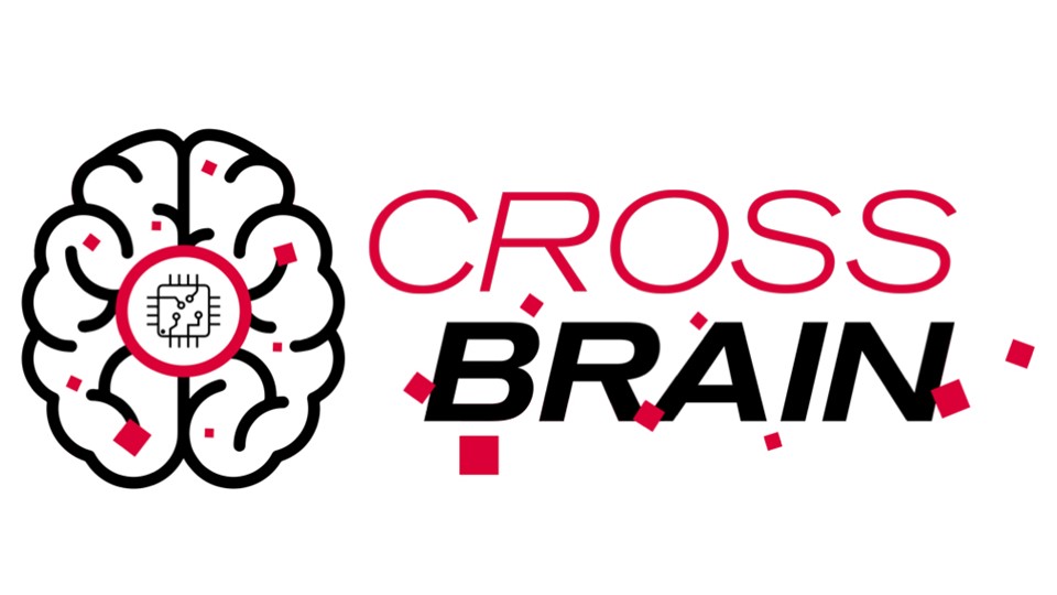 gallery CROSSBRAIN progetto europeo: microbot iniettati, contro i cortocircuiti cerebrali