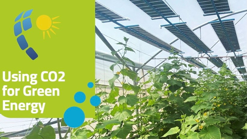 gallery REGACE: progetto EU di oltre 5M€ per sviluppare soluzioni innovative nell’agrivoltaico