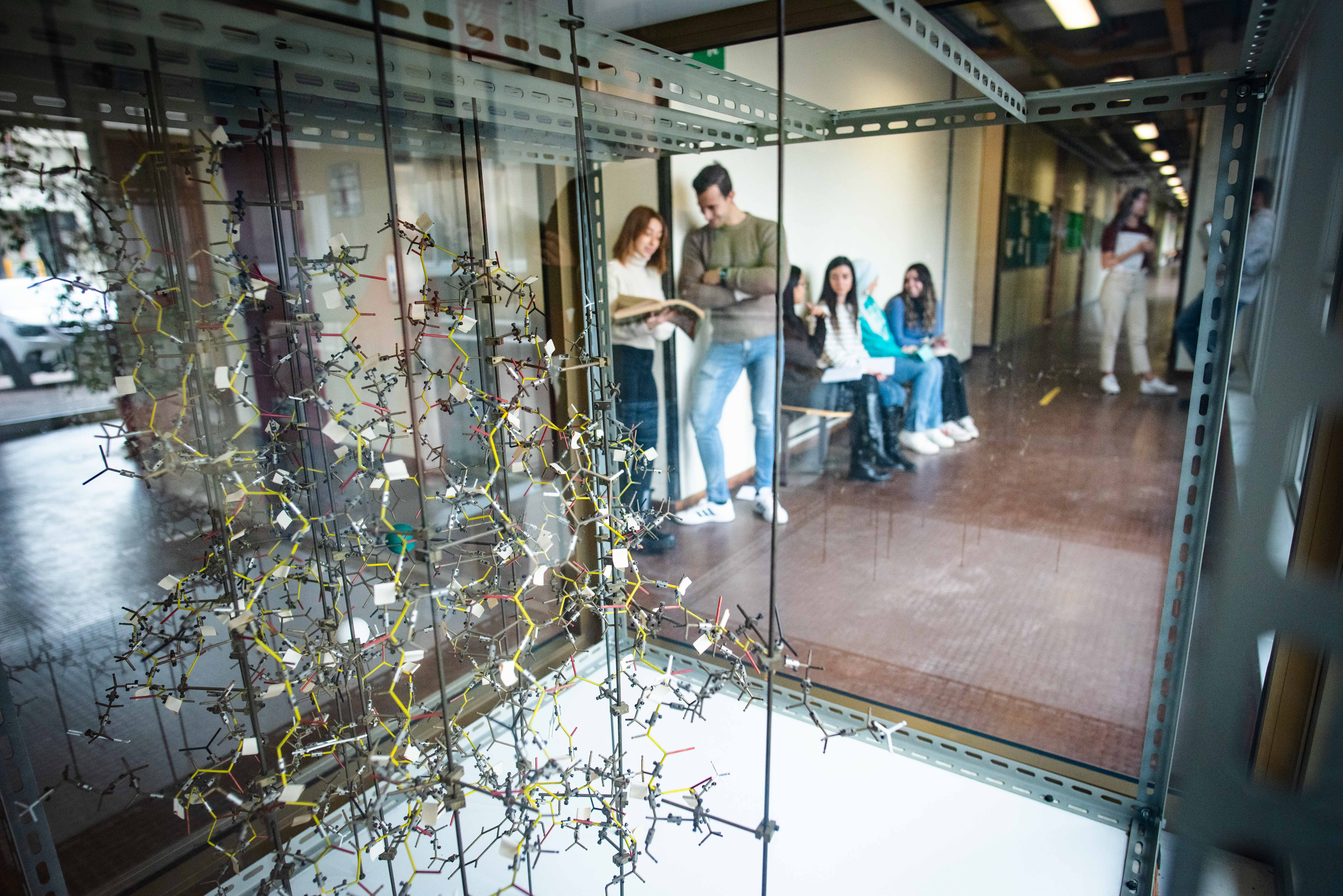 gallery Contatti Scienze Matematiche Fisiche e Naturali