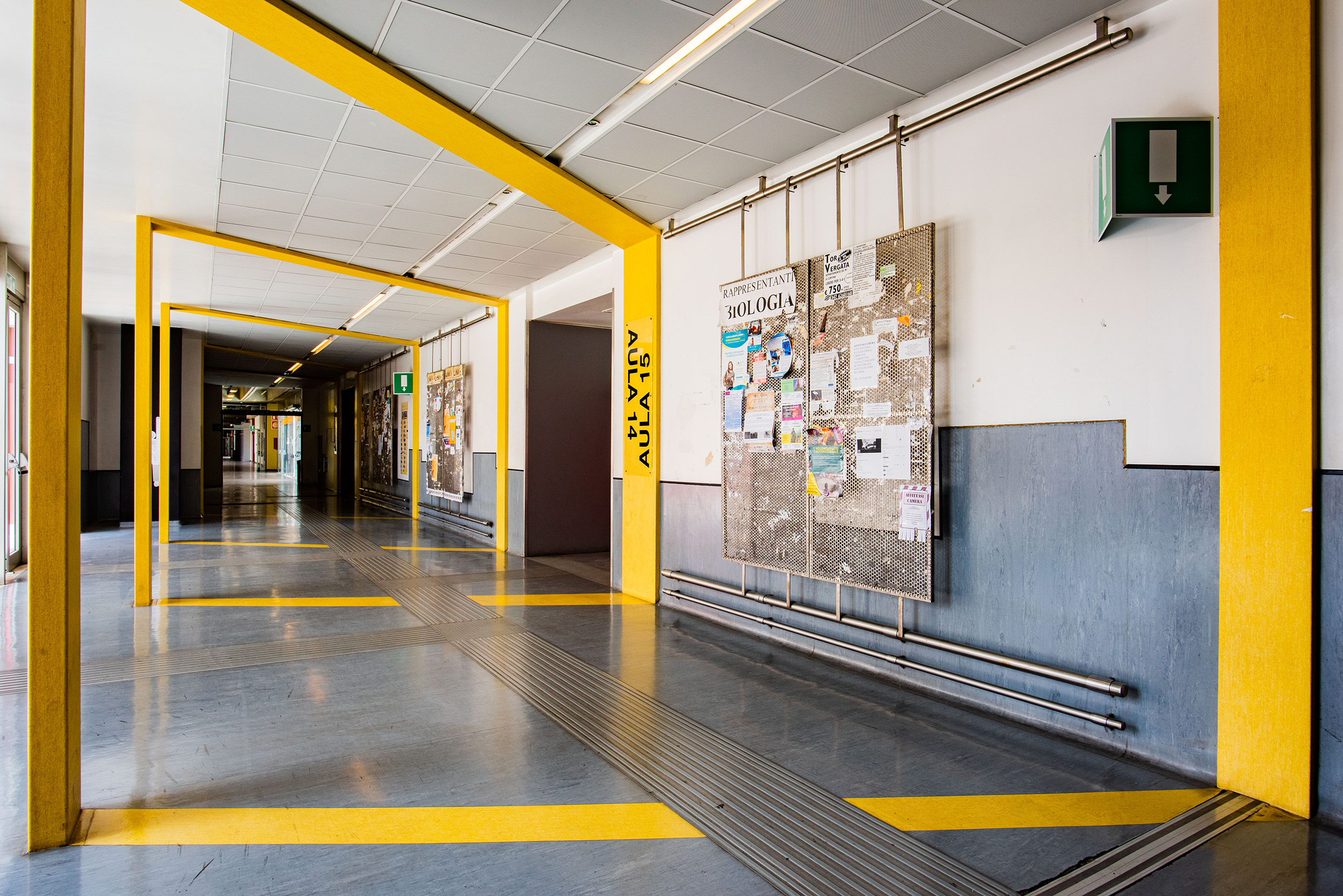 Contatti Scienze Matematiche fisiche e Naturali