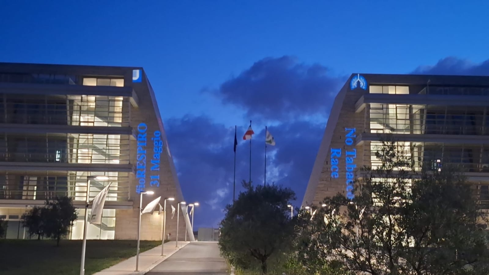 gallery No-Tabacco day, le luci sulla manifestazione